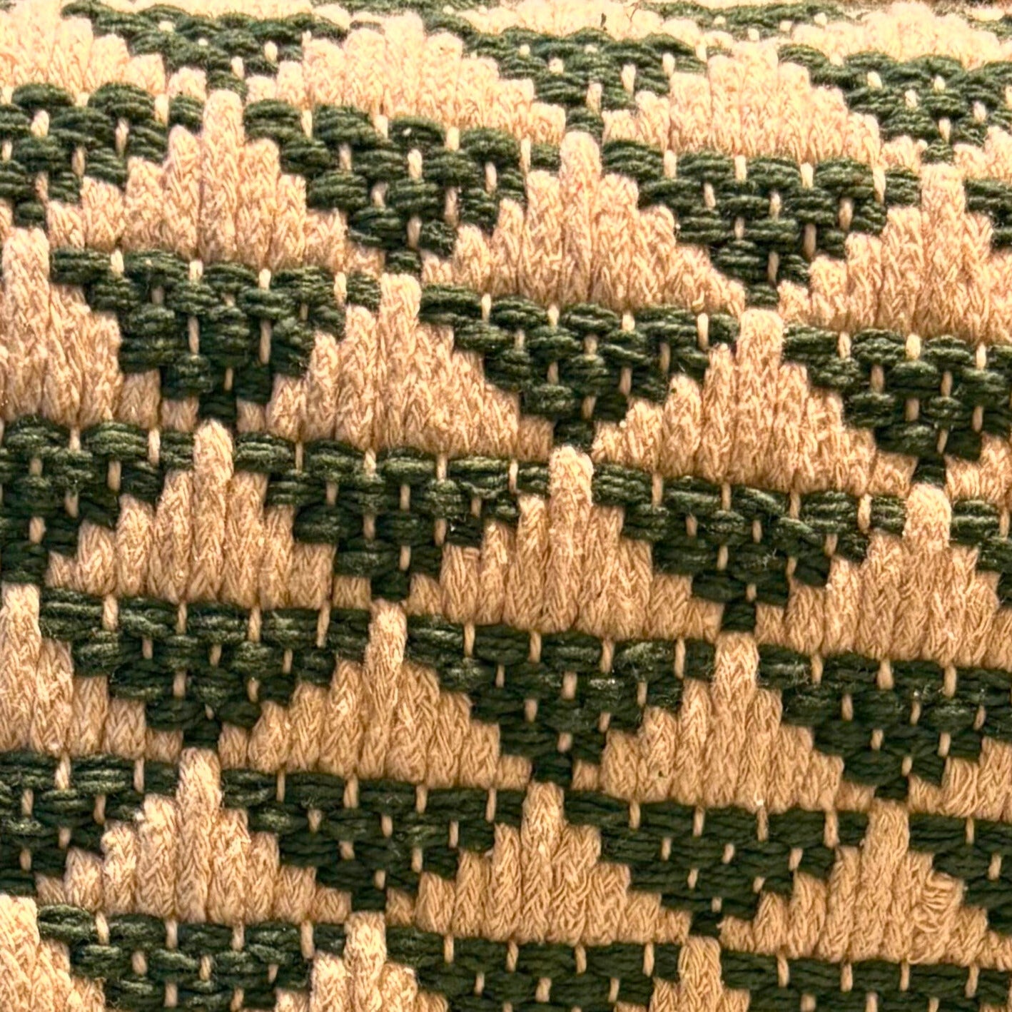 Evergreen Echo Runner